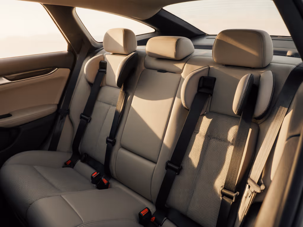 Best Car Seats for Down Syndrome: Harness Height Tested